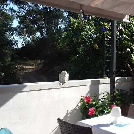 Bed & Breakfast Bois Joli Hyeres