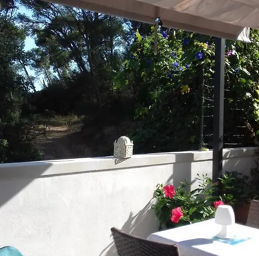 住宿加早餐酒店 Bois Joli 耶尔